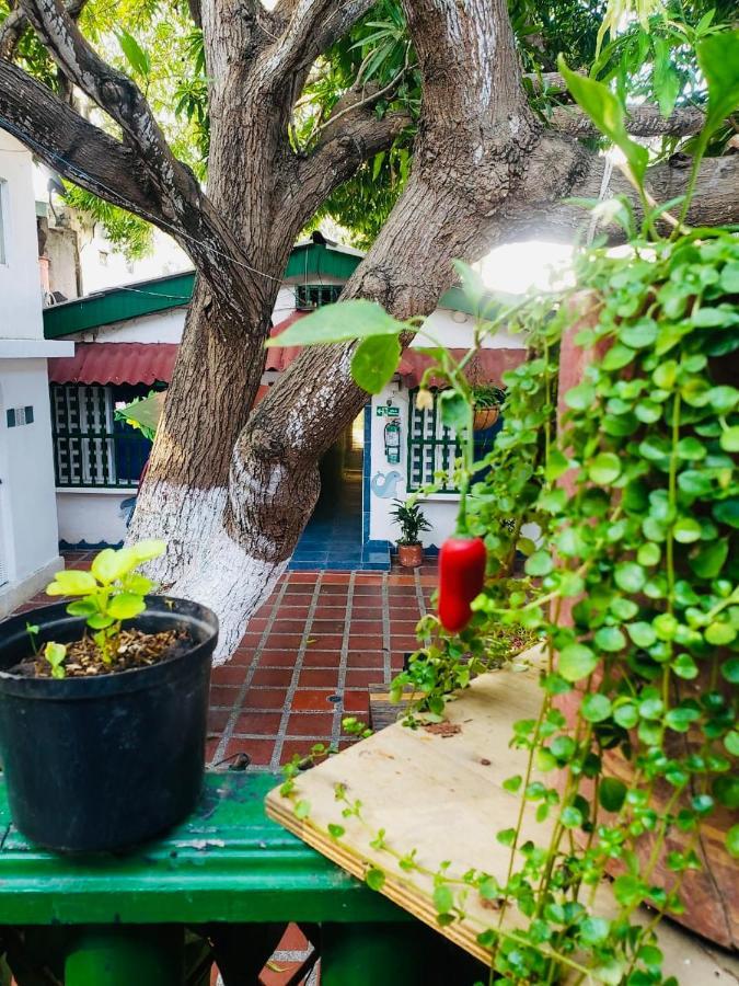 Tita'S Airport Hotel Cartagena 外观 照片