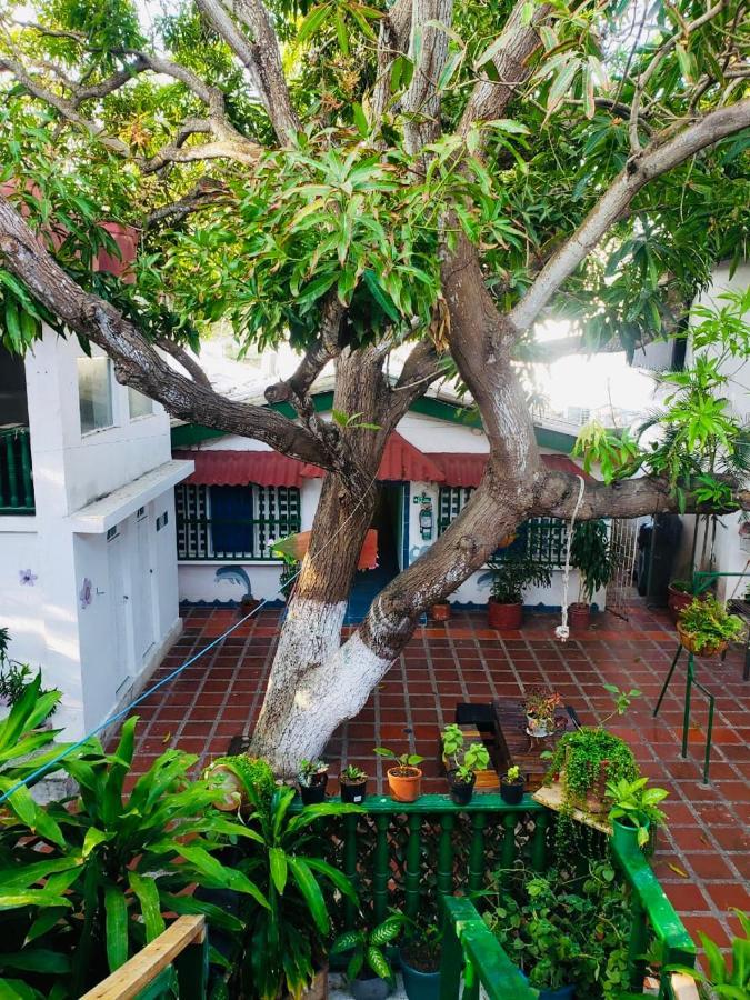 Tita'S Airport Hotel Cartagena 外观 照片